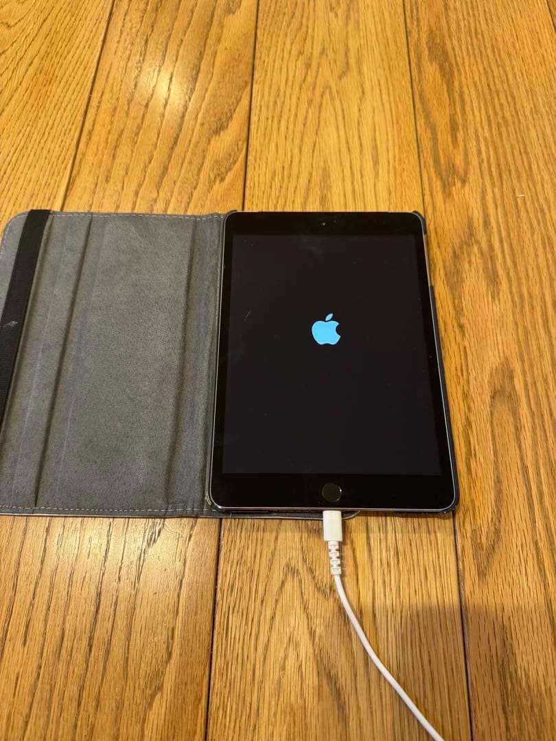 Apple iPad mini 3 本体