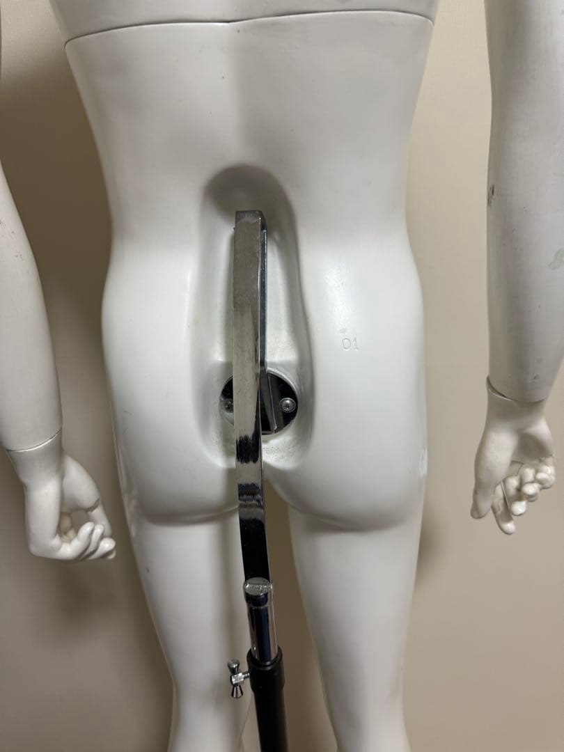 パールイデア　男性　全身トルソー　マネキン　白　高さ調整可能　ディスプレイ