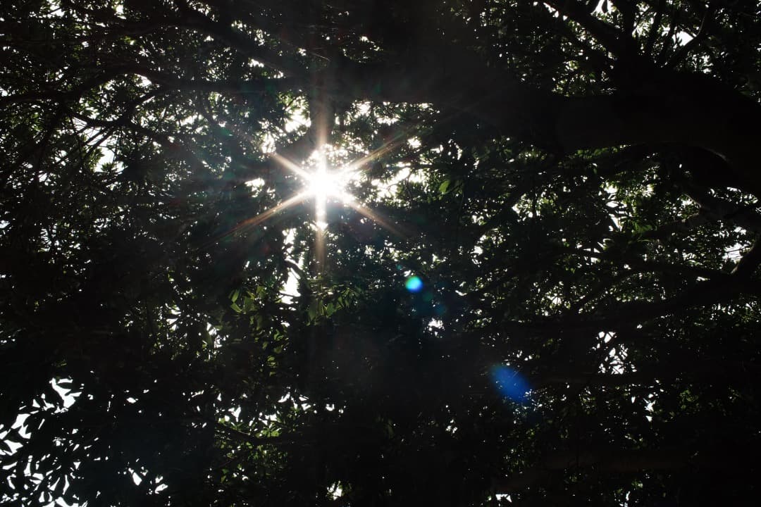 【美品】動作◎ SMC PENTAX-M 35mm F2 ペンタックス 539