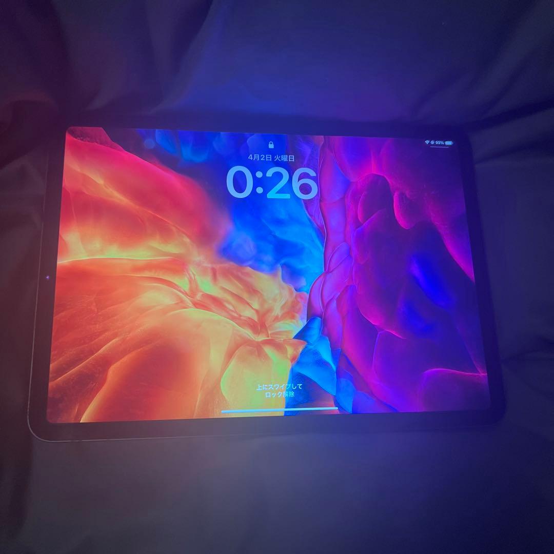 Apple iPad Pro  11  第二世代　　256GB