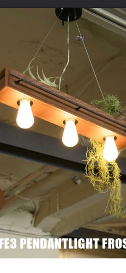 天井照明　照明　ボタニックカフェ 3ペンダントライト　本日限定値下げ価格