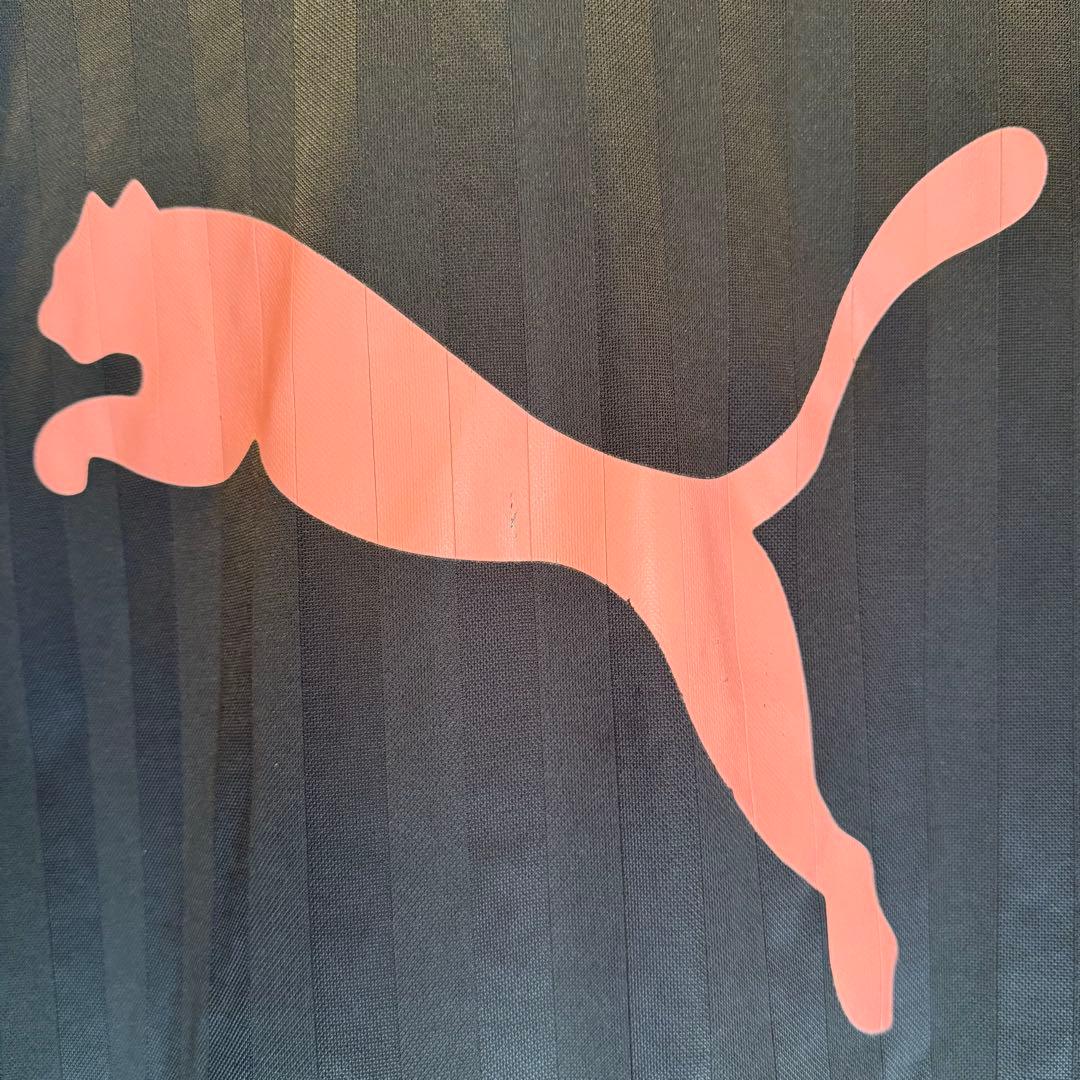 廃盤【PUMA】ジャージ セットアップ Y2K 大きい 2XL（XO）