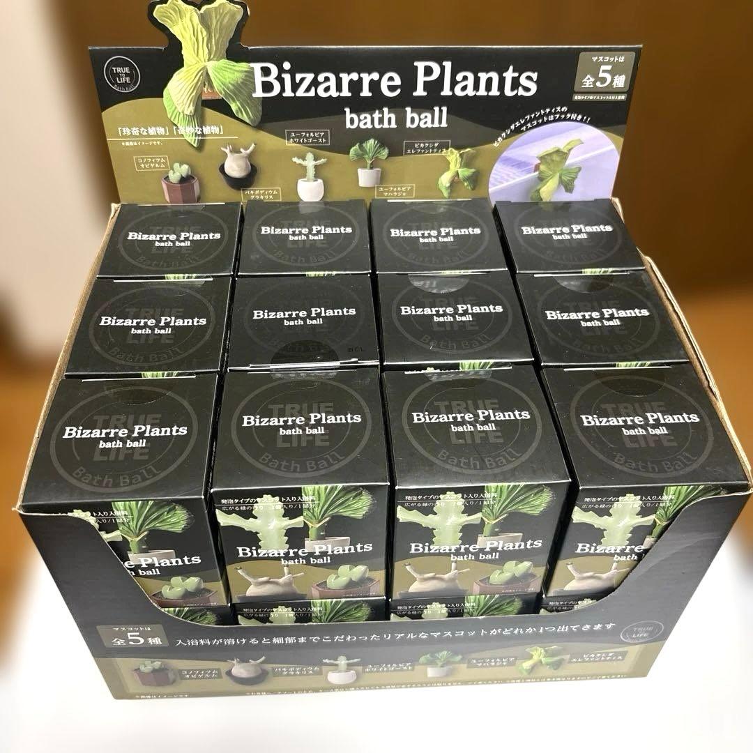 ビザールプランツ　バスボール　24個1箱BOX付き