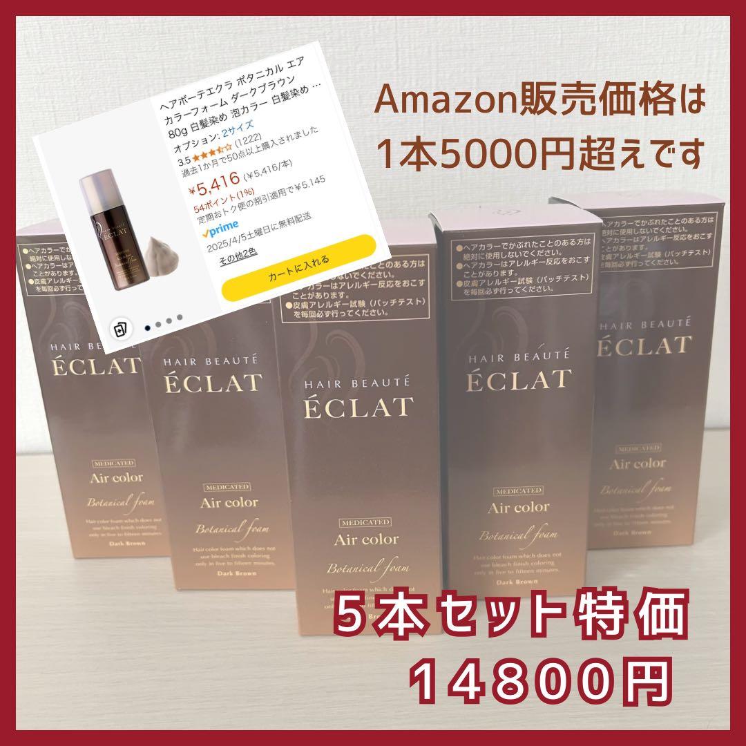 【5本セット】ヘアボーテエクラ HAIR BEAUTÉ ÉCLAT