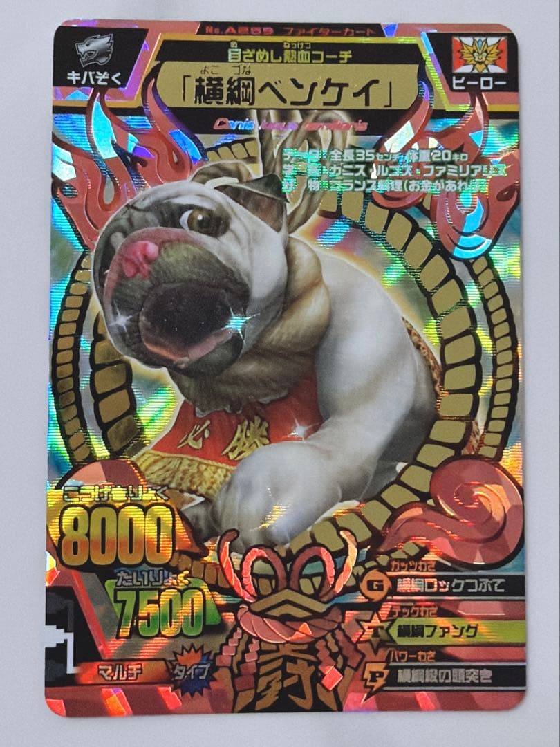 グレートアニマルカイザー　究極レア　『横綱ベンケイ』No.A-259