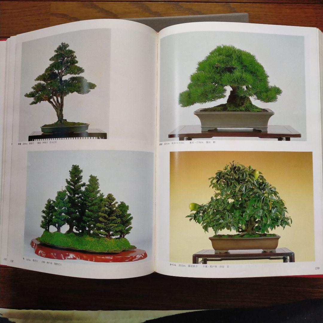 日本盆栽大観展