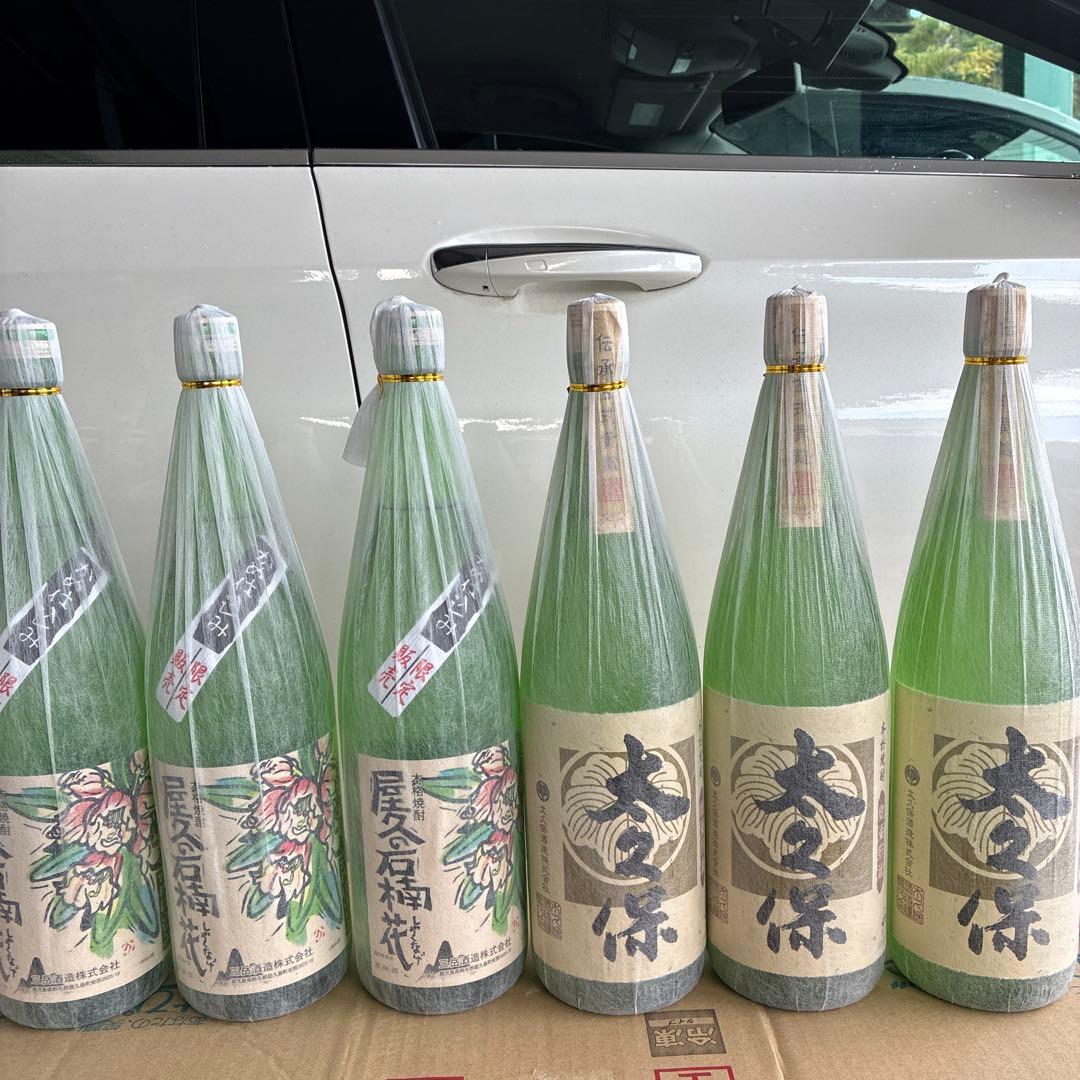 屋久の石楠花3本大久保3本