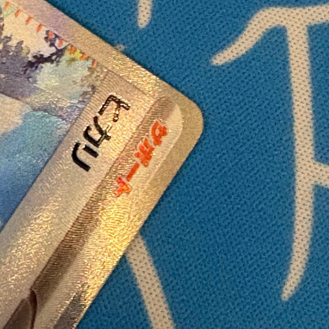 300円企画　ヒカリsar