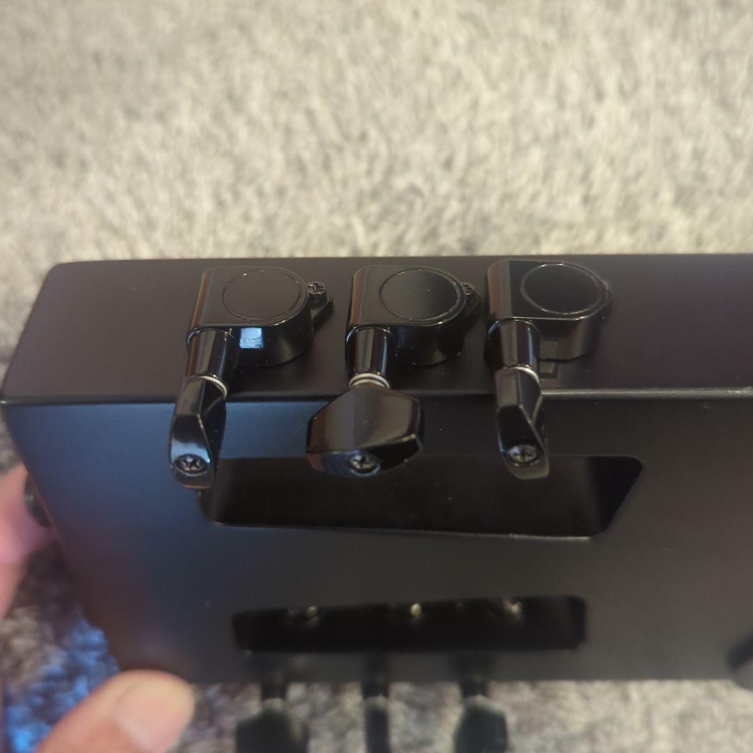 anygig エレキギター