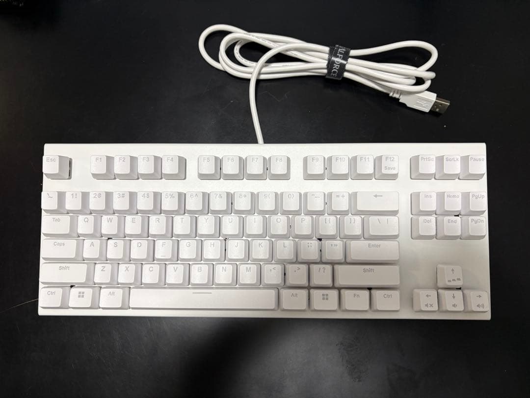 REALFORCE ホワイト 45g 英語配列 USBキーボード 本体