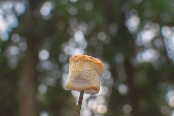 レンズ(単焦点) Nikon AF-S NIKKOR 35mm 1:18G