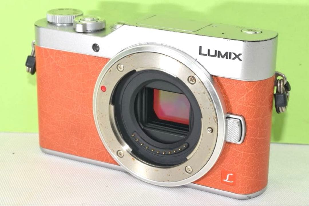 Panasonic DMC-GF9 ☆送料無料☆