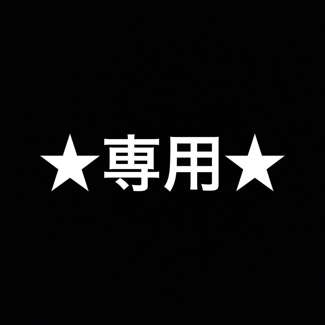 ★専用★ 【新品未使用】Rinnai ガス衣類乾燥機専用台 DS-80HSF