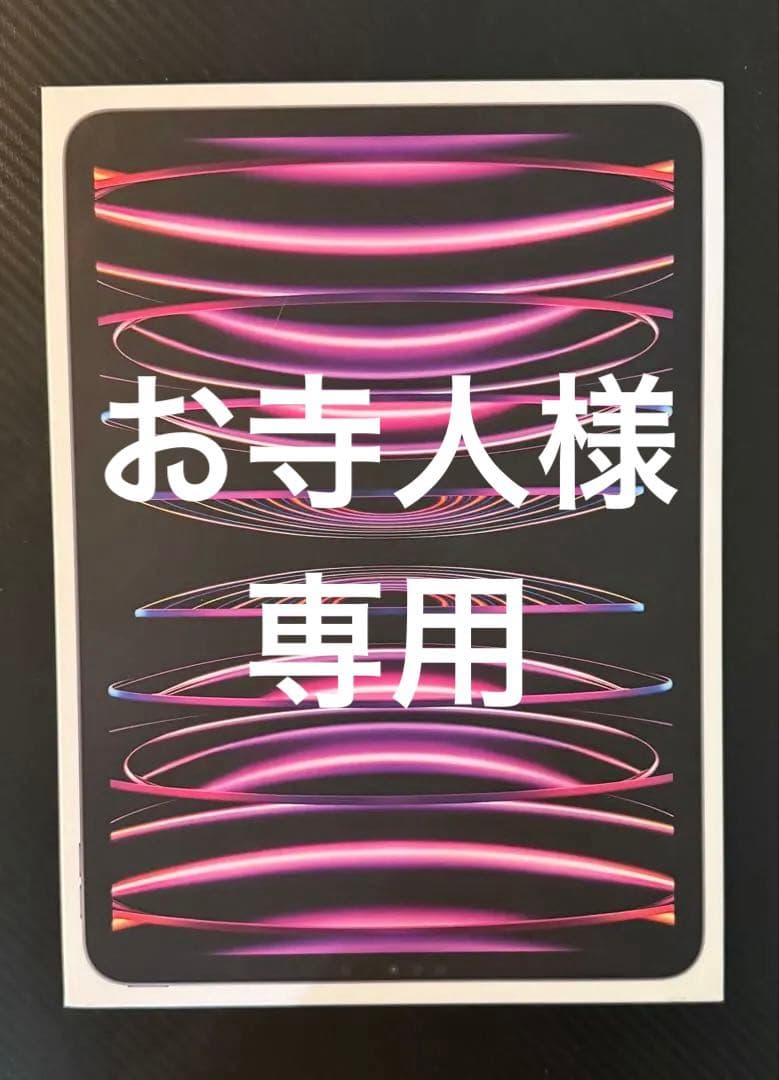 iPad Pro 第4世代 11インチ256GB