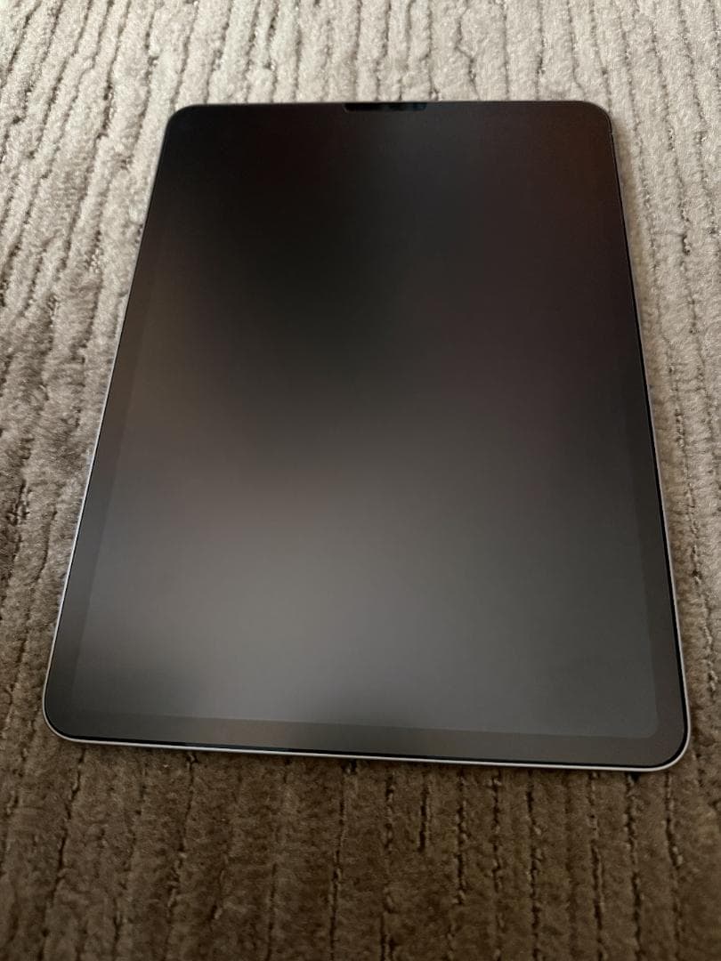 Apple iPad Pro 11インチ（第4世代）256GB