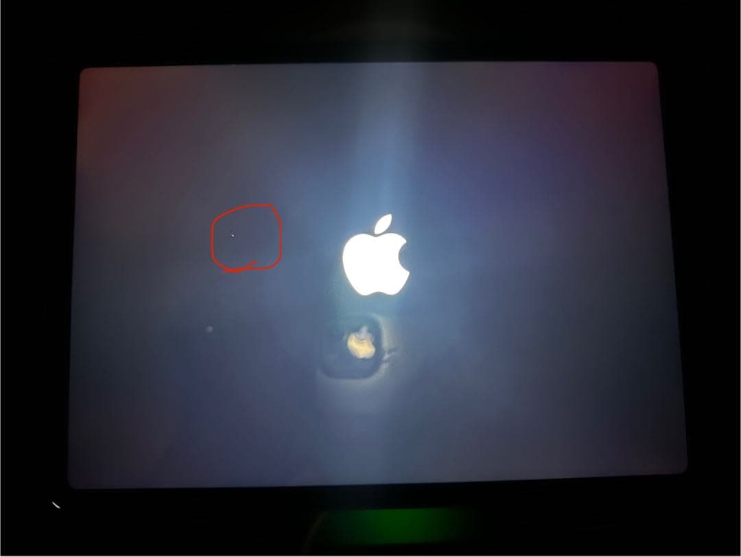 iPad Pro 11インチ 1TB M1 wi-fi +Cellular 本体