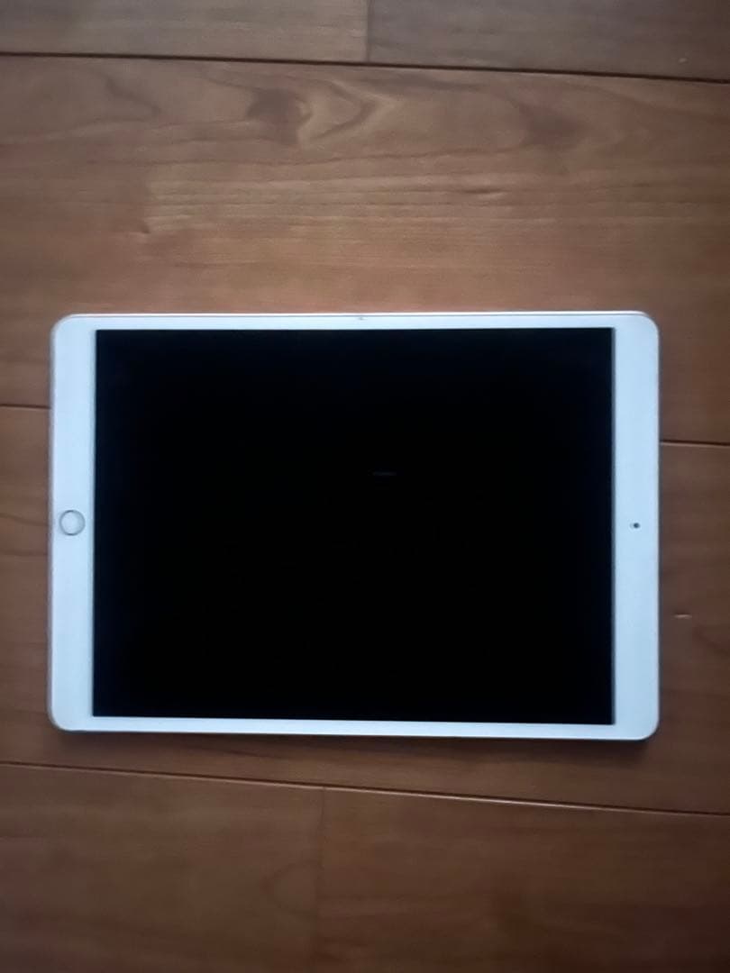 iPad Air 3 ジャンク