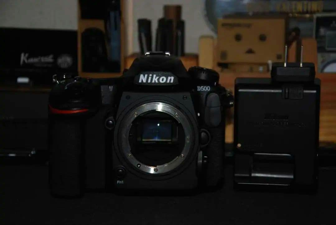 Nikon D500 デジタル一眼レフカメラ 充電器付き　ジャンク