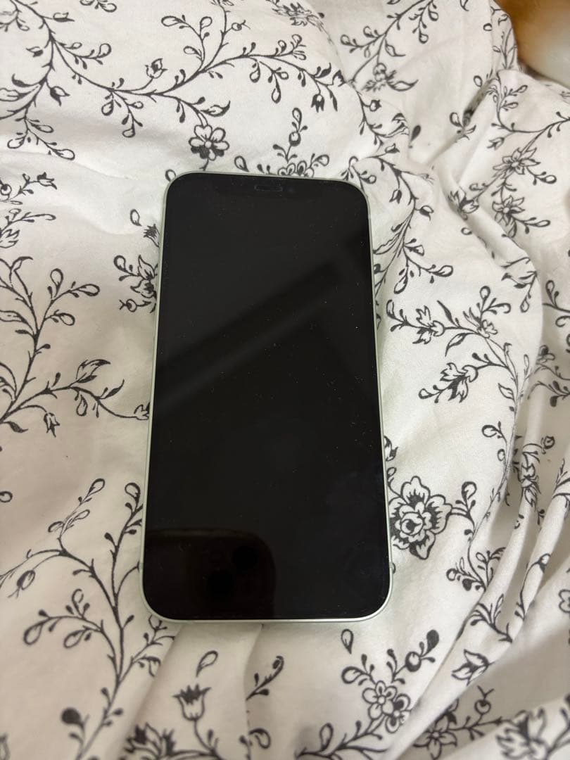 Apple iPhone 12mini ミントグリーン 本体