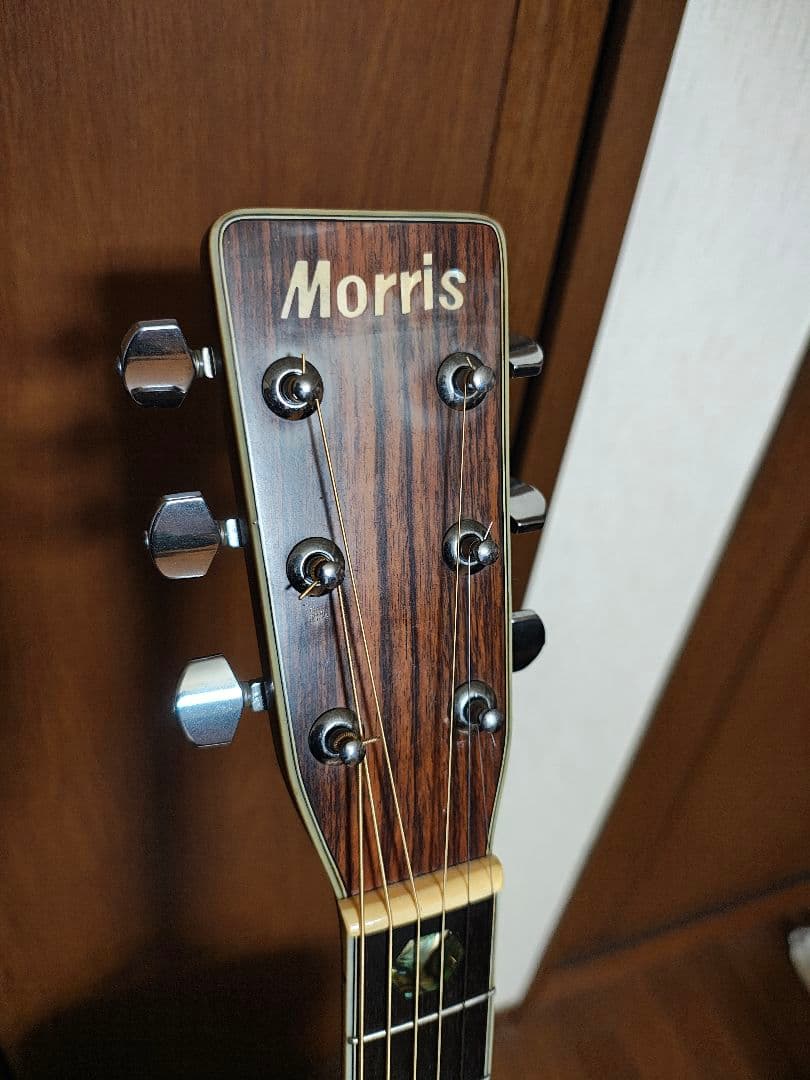 Morris アコースティックギター w40ドレッドノート