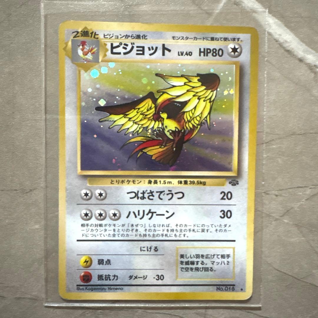 わるいリザードン フシギバナ ブイズ他 15枚セット