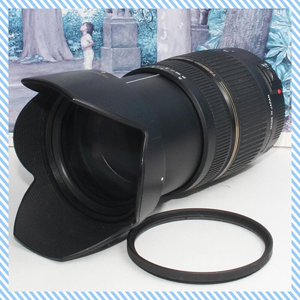 デジタルカメラ TAMRON SP 28-75mm F2.8 XR Di LD ASPH IF