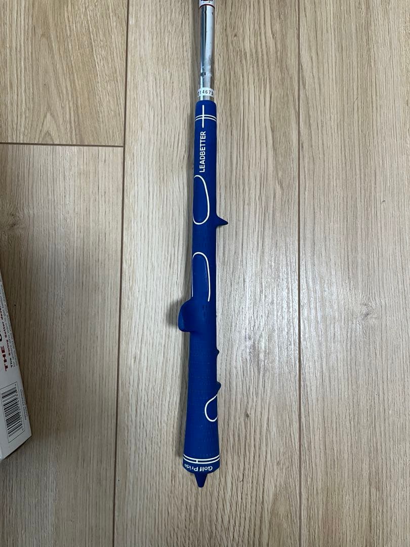 デビットレッドベター　スイングセッター