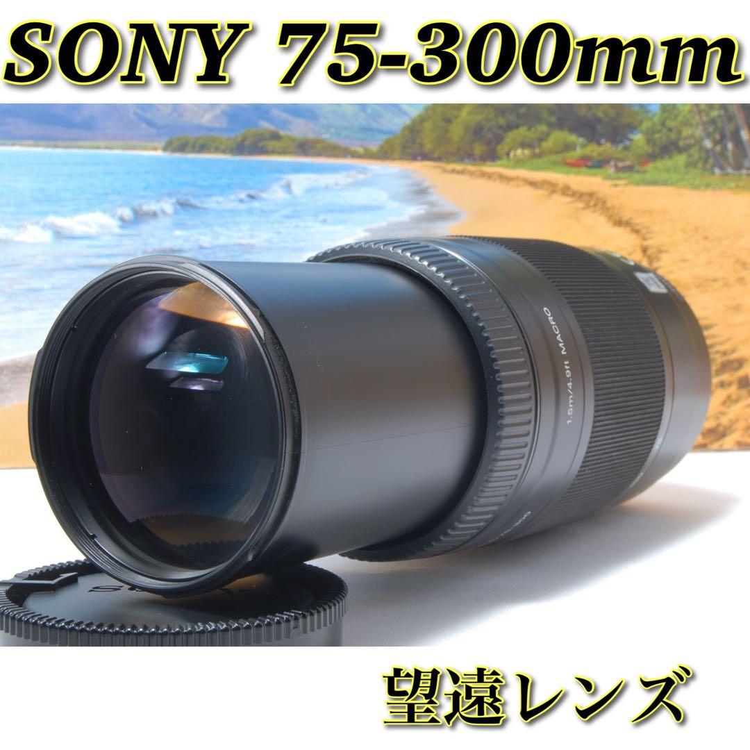 美品 SONY 75-300mm 初心者OK 望遠ズームレンズ 運動会に 動作◎