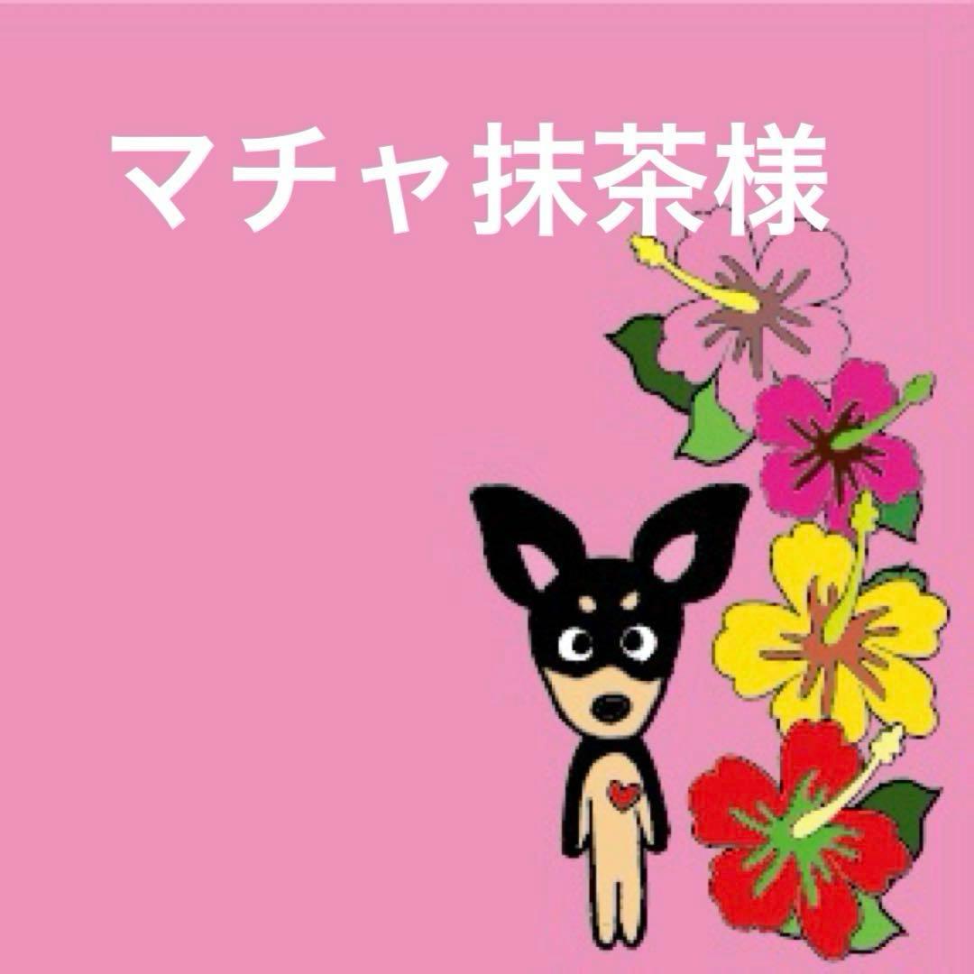 マチャ抹茶様　ボディバック　通院手帳サコッシュ　チワワ　トイプードル