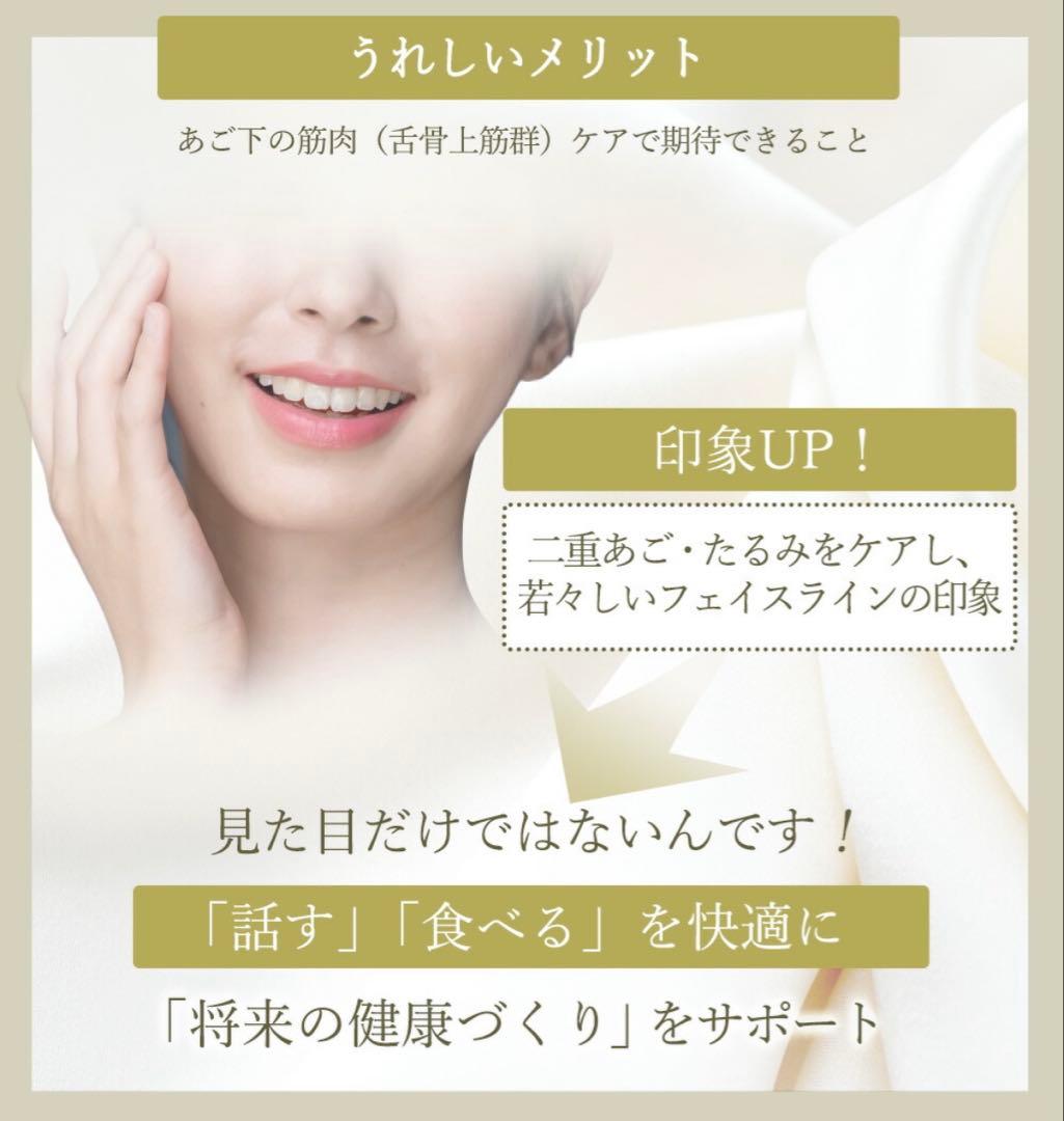 【ほぼ新品】スタイリーフェイス　StylyFace　EMS美顔器