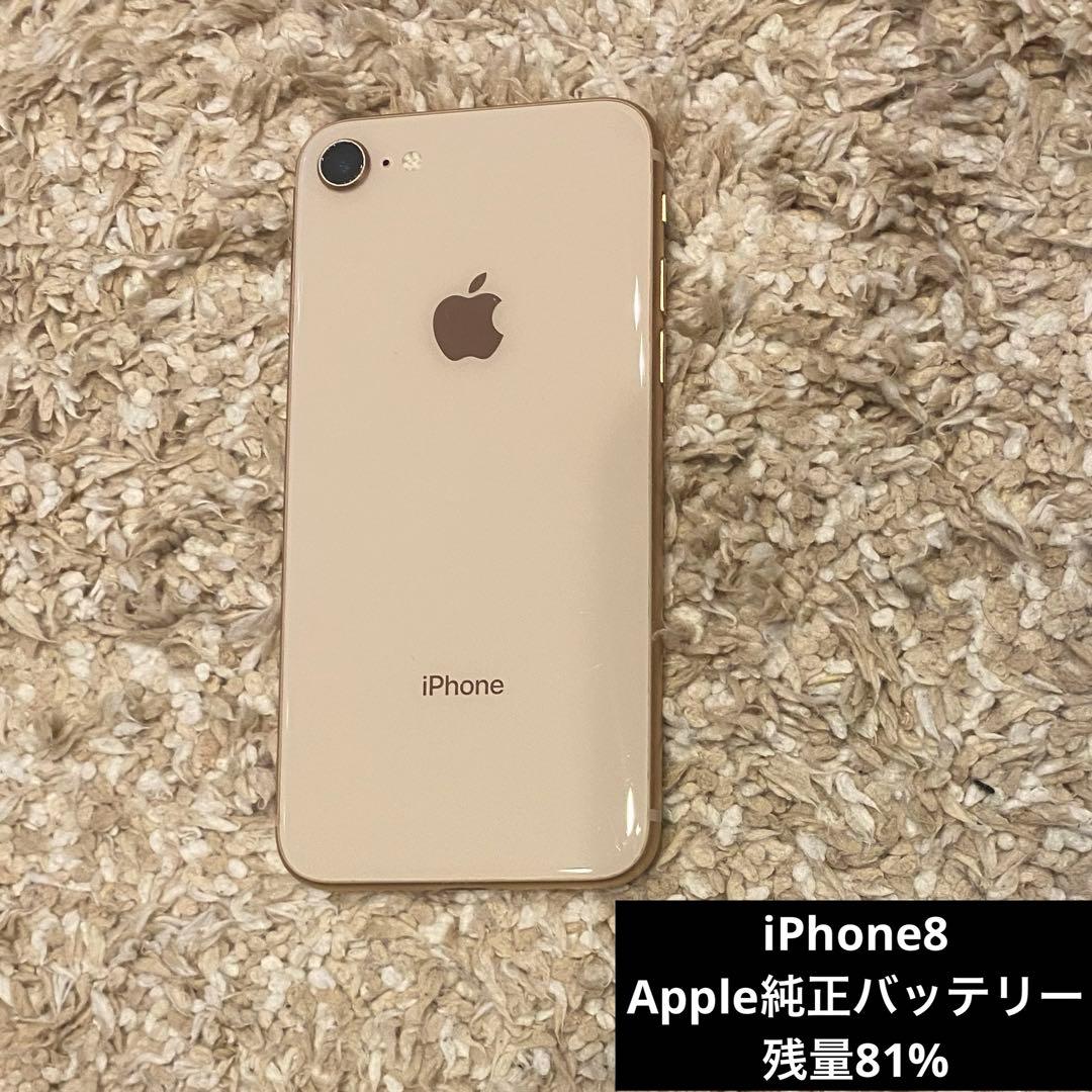 Apple iPhone 8 64G ゴールド本体81%