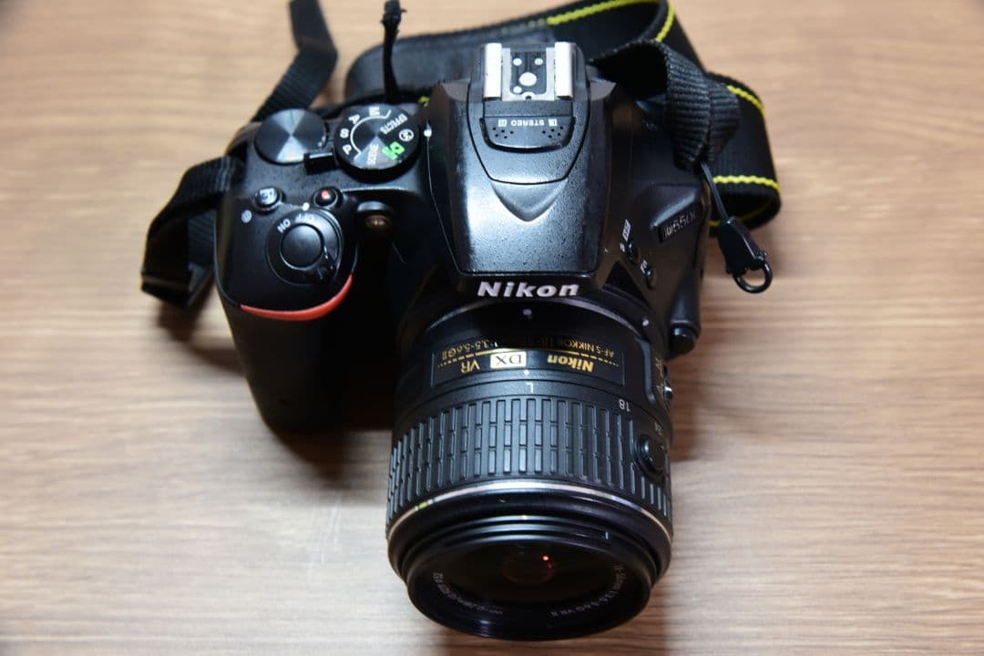 Nikon D5500 DX 18-55mm f/3.5-5.6G VR Ⅱ