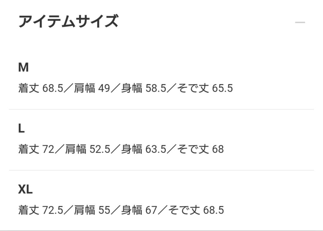 【S】Polo Ralph Lauren パーカー RLロゴ ラルフ ローレン