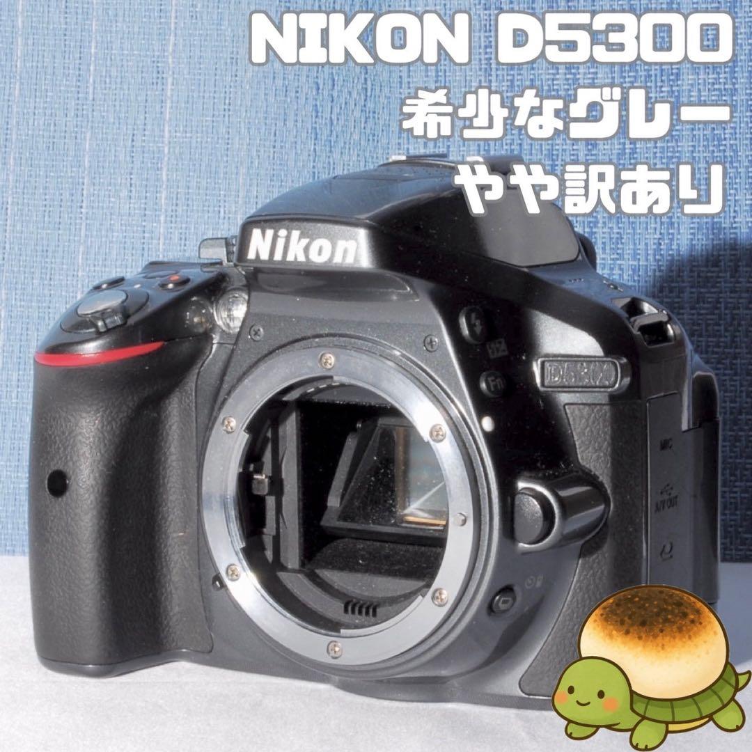 D5300 訳あり品！　✨ボディー傷少なく美品です✨　レアカラー　ＡＦ動作不良