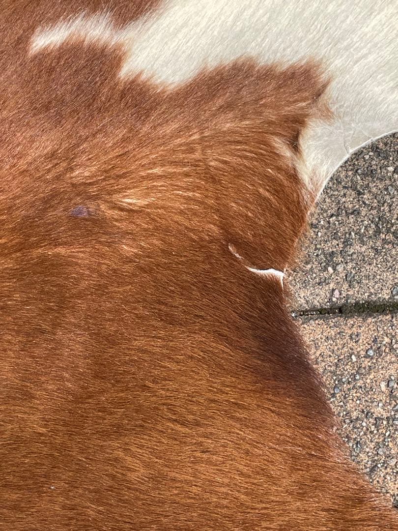 天然牛革ラグ 約210cm x 約195cm/本革大判本物/大きめカウラグ