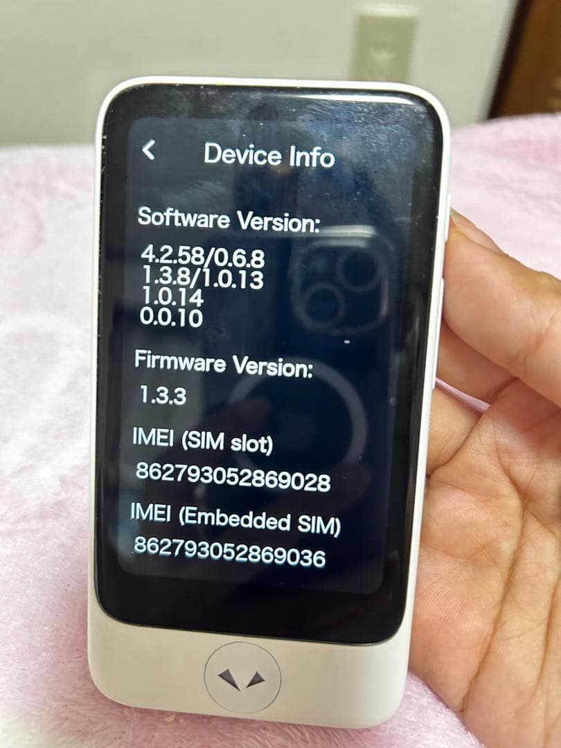 Pocketalk S Translation 翻訳