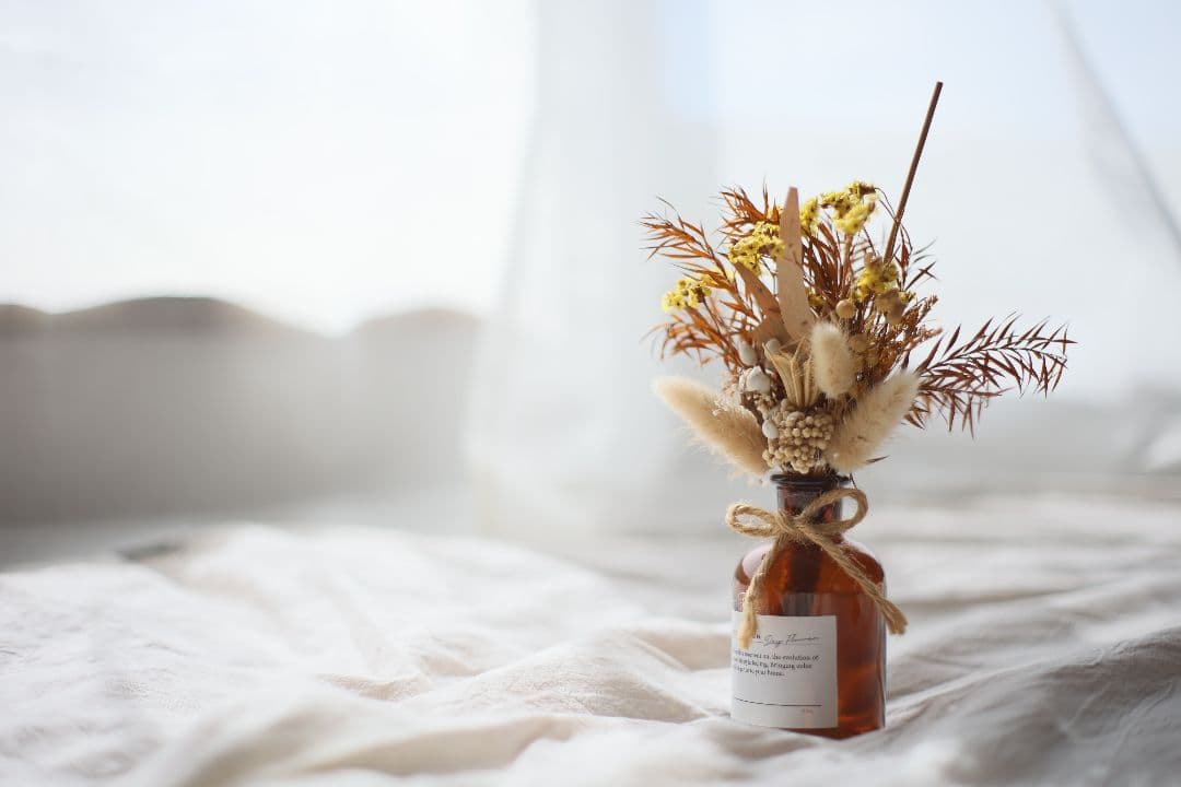 YASHICA AUTO YASHINON-DX 50mm F1.7【光学美品】