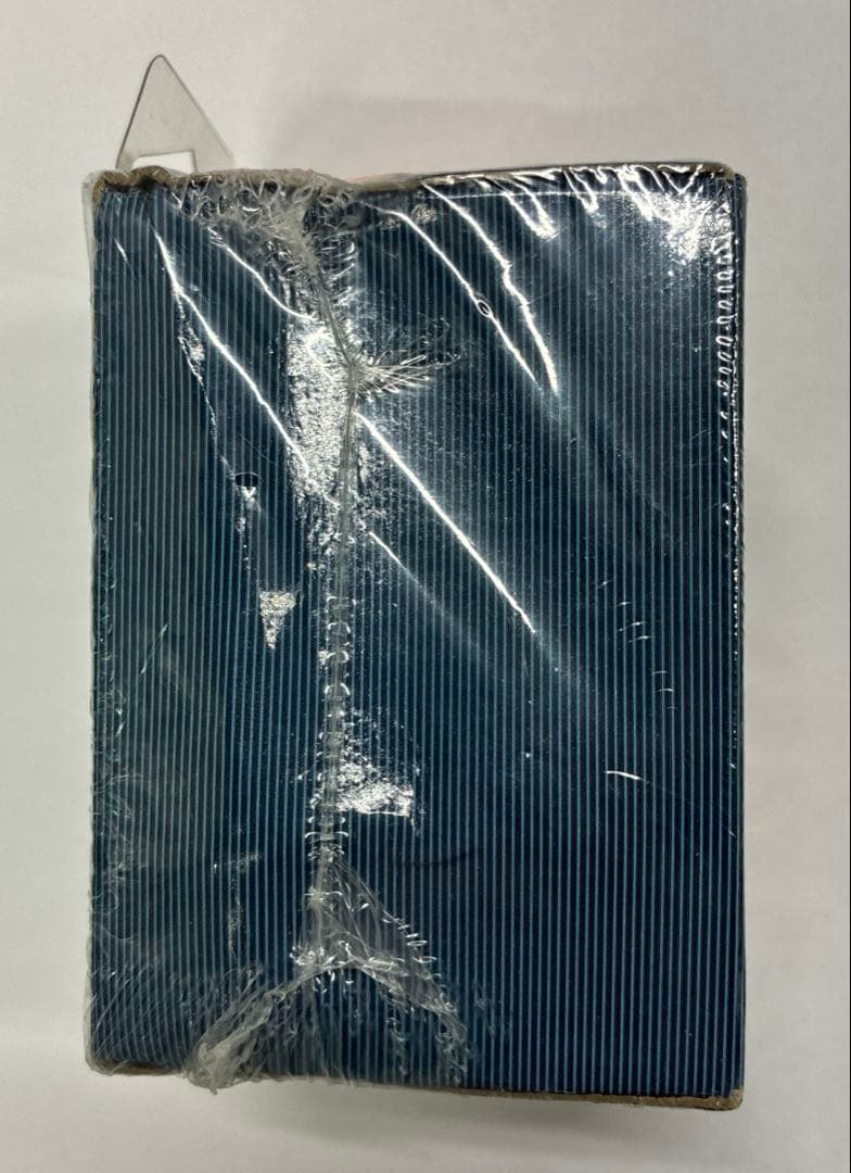 timex ironman nascar タイメックス アイアンマン