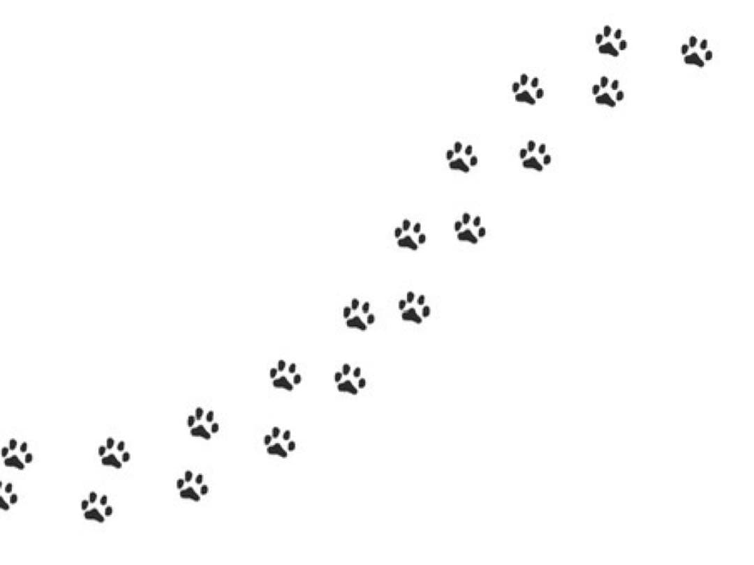 NEC デスクトップPC フルセット Core i7 32GB SSD搭載