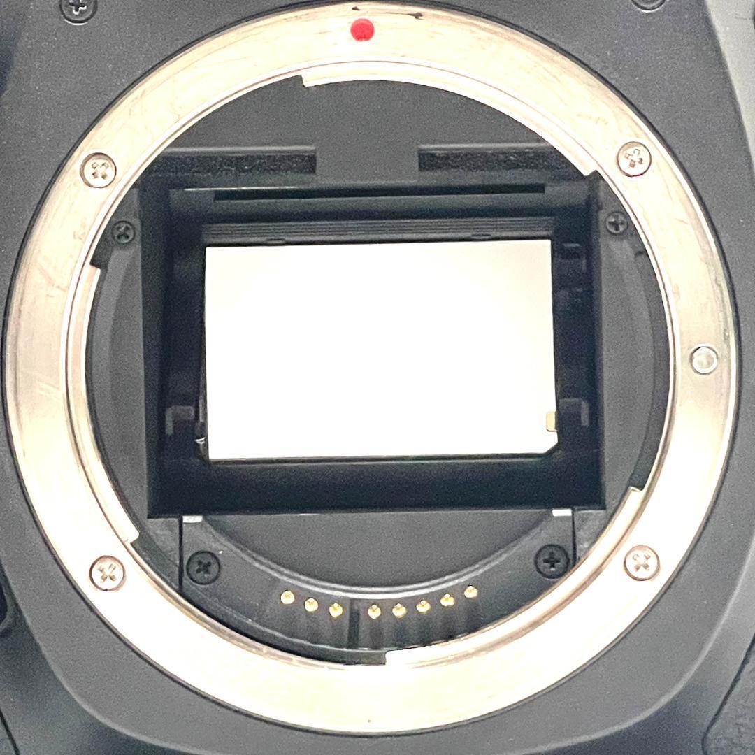 高速AF✨ Canon EOS 5D Mark III 超望遠ダブルレンズセット