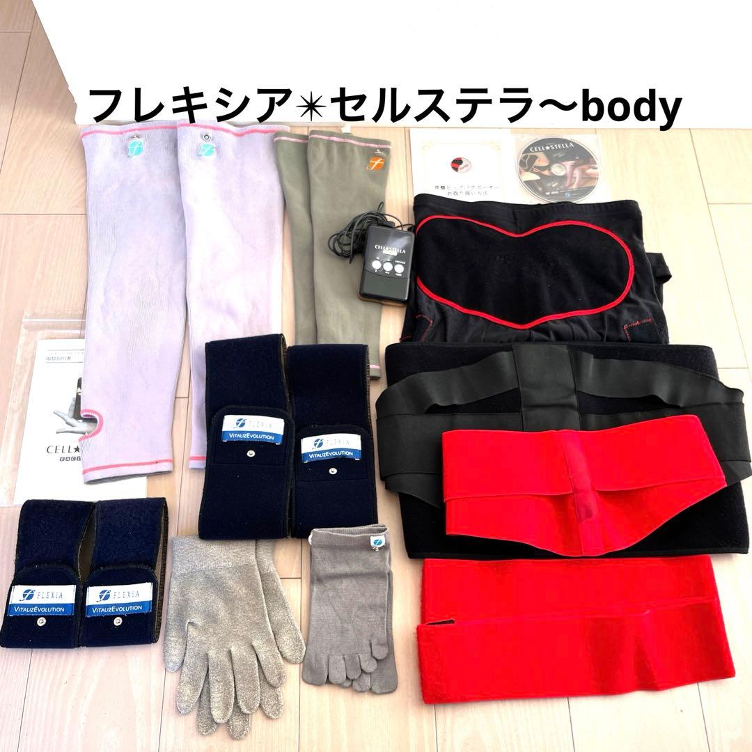 フレキシア✴︎セルステラbody〜コアボディ/レッグ&アーム/手袋靴下/本体set