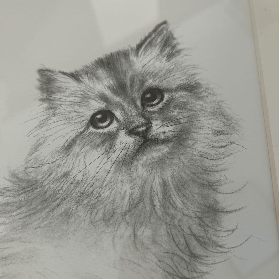 猫の鉛筆画 八代亜紀作 木製フレーム付き