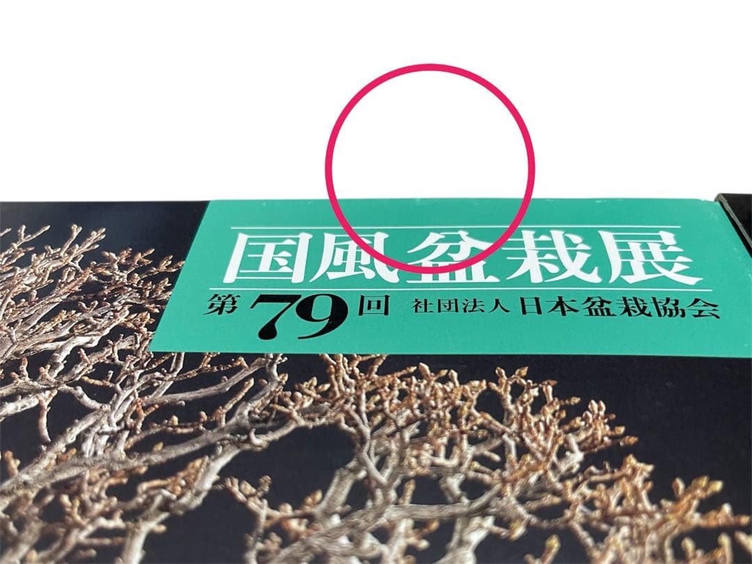 【超お買い得】国風盆栽展 コレクション 11冊　78〜90巻