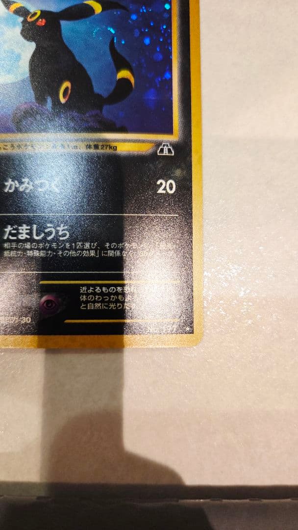 ブラッキー　(遺跡をこえて…)