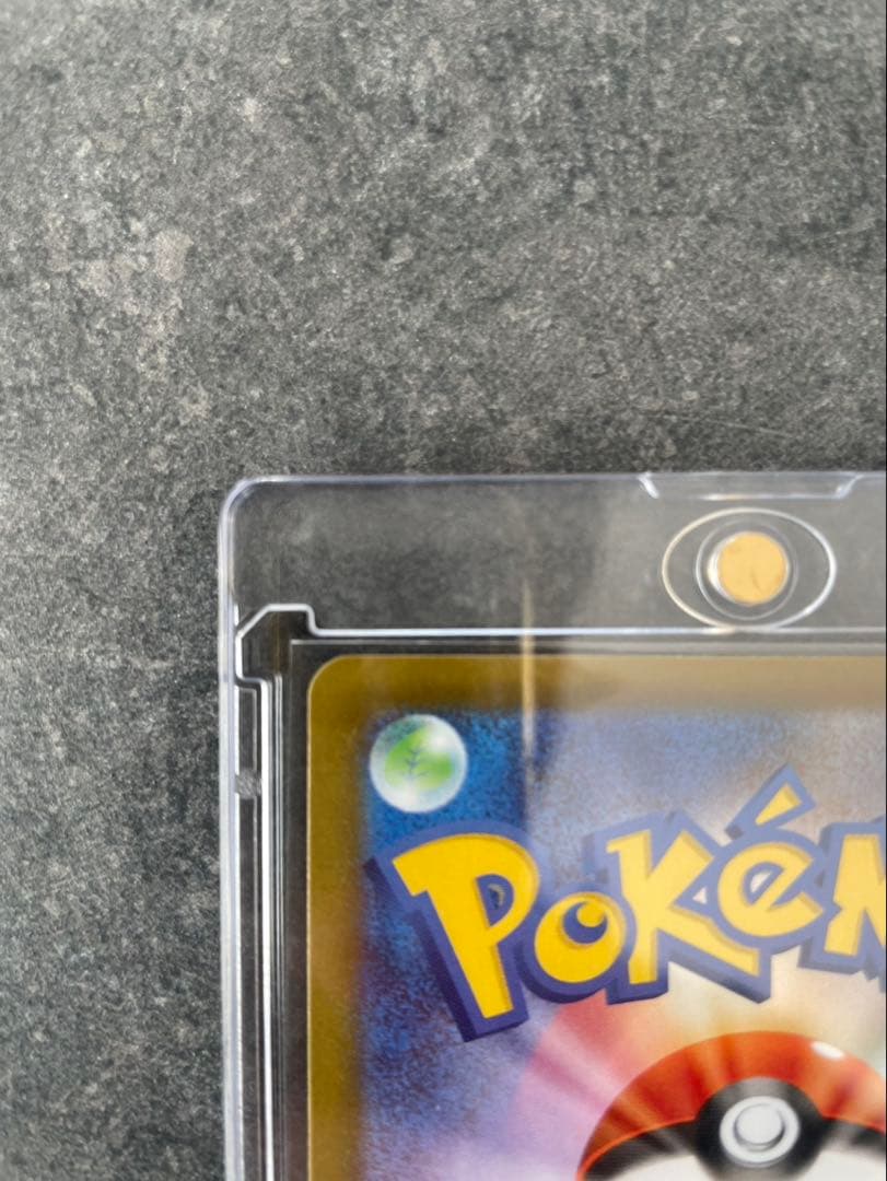 メイのはげましSAR