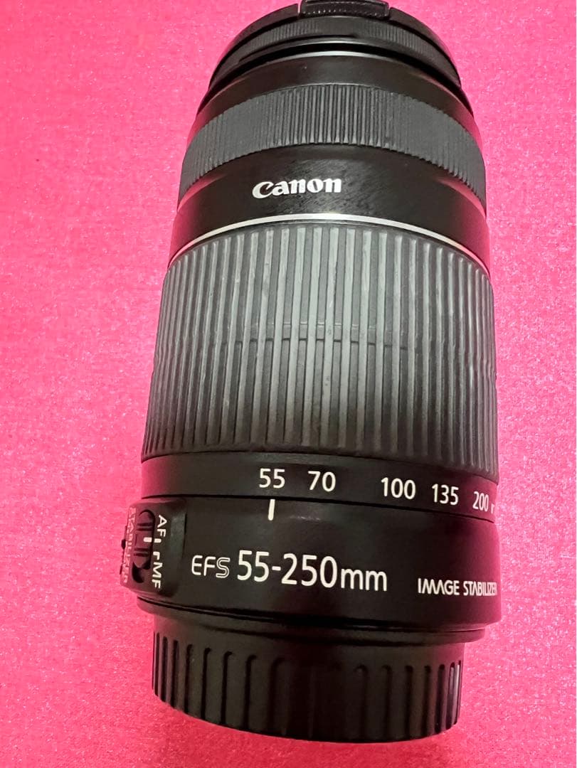 Canon EF-S 55-250mm F4-5.6 レンズプロテクター付き