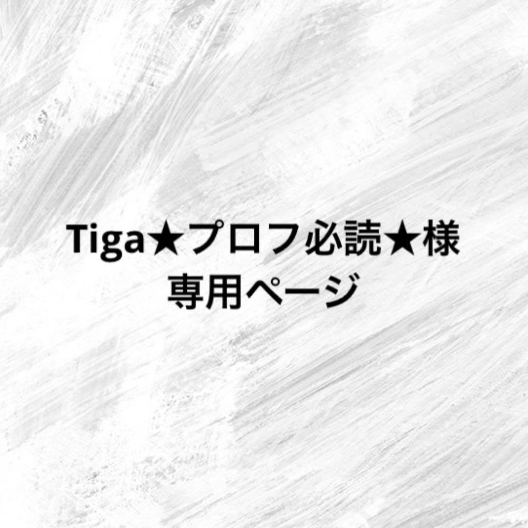 Tiga★プロフ必読★ページ