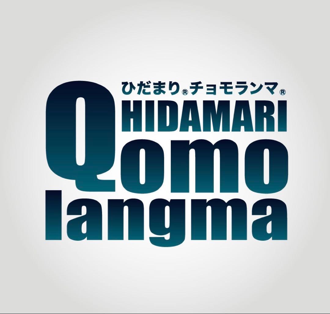 【正規品】ひだまり肌着 チョモランマ 婦人長袖丸首インナーＬ GMS822
