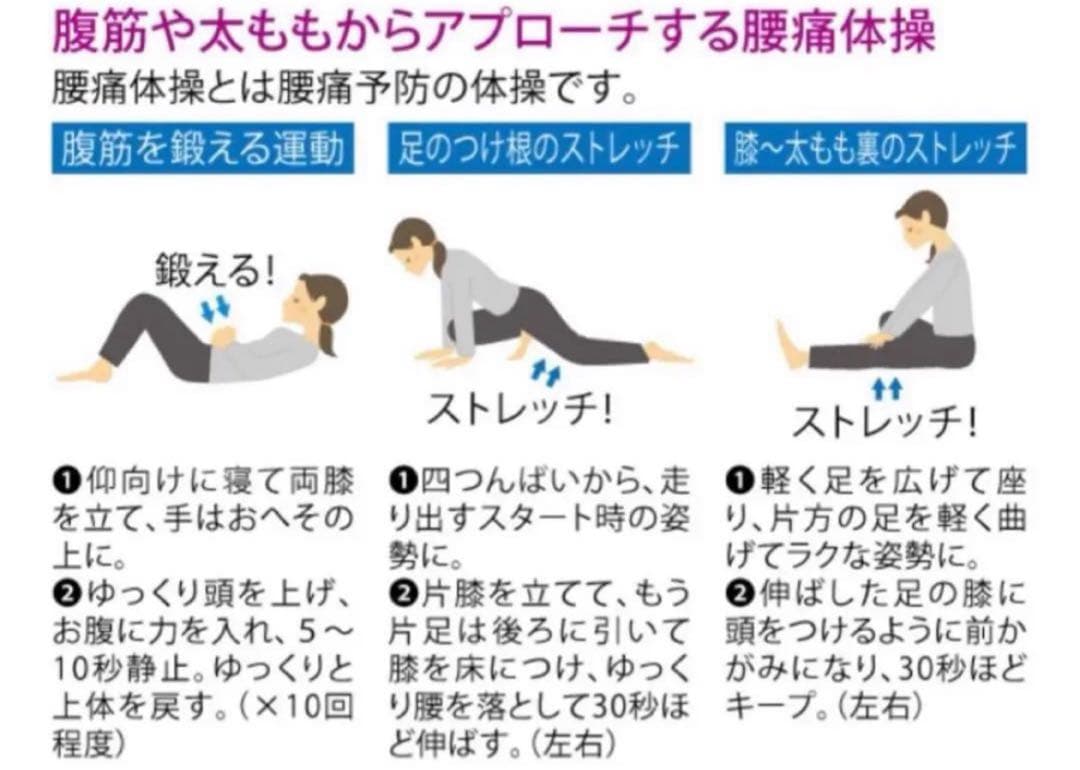 いりごま　シャルレ　腰サポートガードル　98