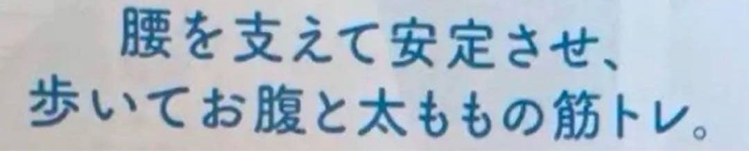 いりごま　シャルレ　腰サポートガードル　98